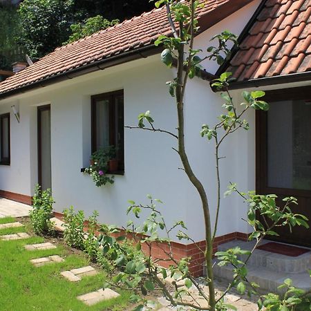 Domek Praha - Zbraslav, U Zamku Kültér fotó